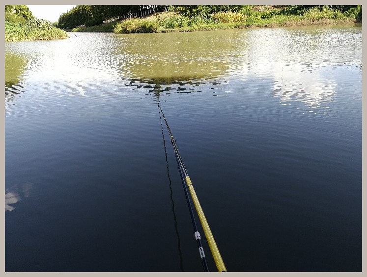 异地最后一次作钓，江鳊鱼获全部送邻居