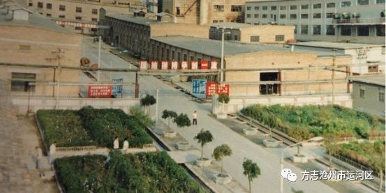 河北省沧州的造纸厂,沧州市造纸厂拆迁最新消息