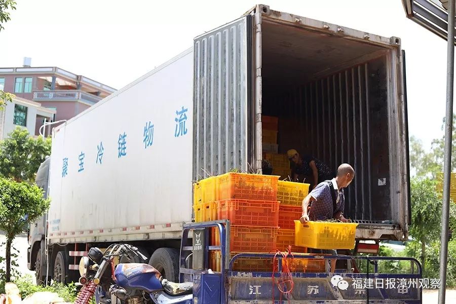 想做农村电商物流怎么办,乡村物流电商创业