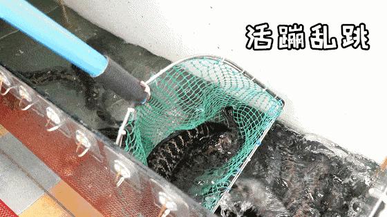 不出哈尔滨一秒入“湘”，仅59.9元抢158元「湘乡小厨」超值2-3人双套餐，湖南剁椒功夫鱼/湘乡开胃鸡+8样素菜+白菜丁香鱼等