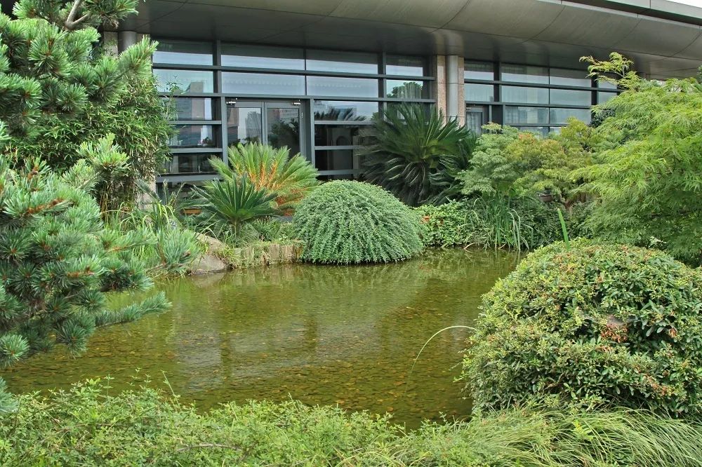 紫金港校区图书馆开放时间,紫金港校区图书馆