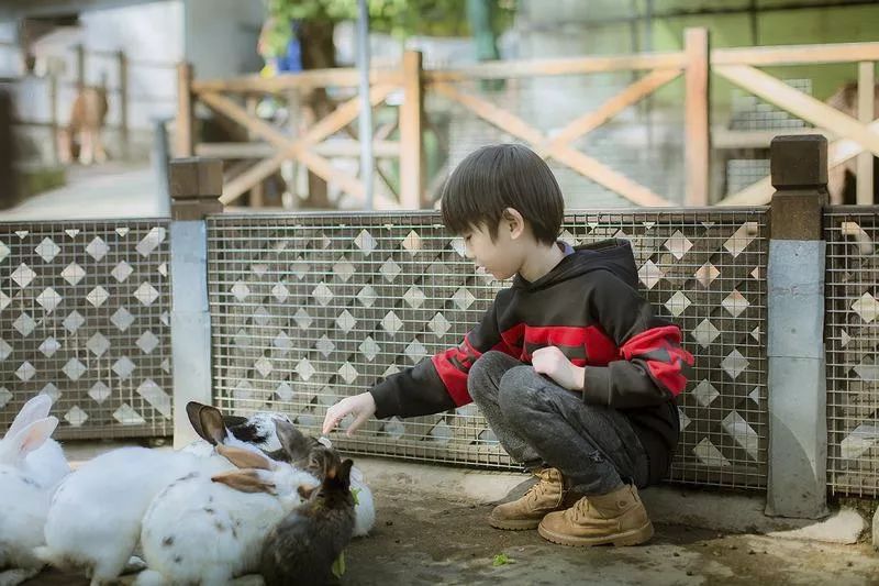 都听我的！这个中秋就去开心休博园！解锁不一样的童趣假期