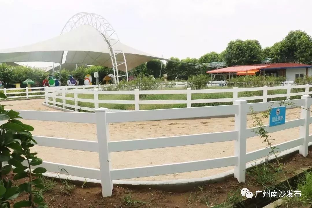 南沙百万葵园免费吗,南沙百万葵园开放时间最新