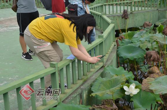 我的家乡重庆忠县新立田园综合体,2020年忠县新立镇田园综合体规划