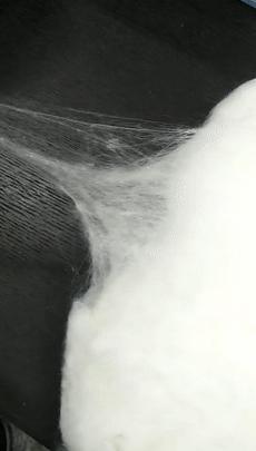 蚕丝被被曝光了！长期盖蚕丝被的人发生了惊人变化...没看的赶紧看看吧