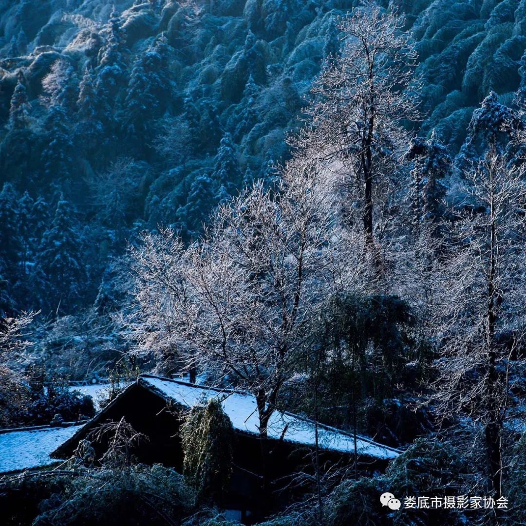 生态娄底美丽家园——【壮丽70年奋斗新时代】娄底首届风光摄影作品展览生态小品作品选登