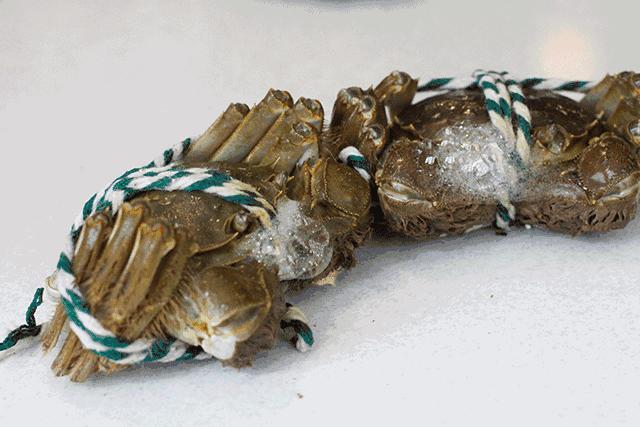 阳澄湖大闸蟹流黄,阳澄湖大闸蟹几月份吃最好吃