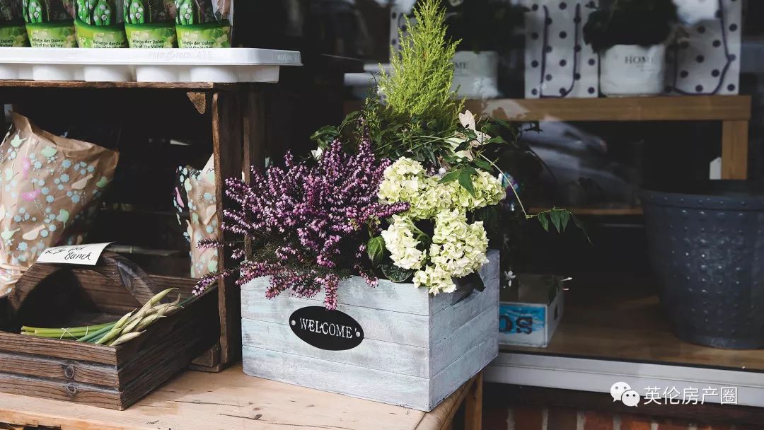 高品质别墅楼盘,稀缺别墅样板间出售