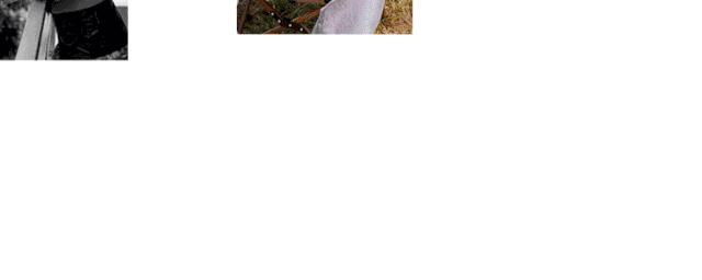 肖战眼中的gucci,肖战的穿搭与别人一样