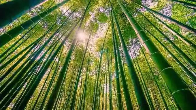 中秋夜祈福,中秋节祈求阖家团圆