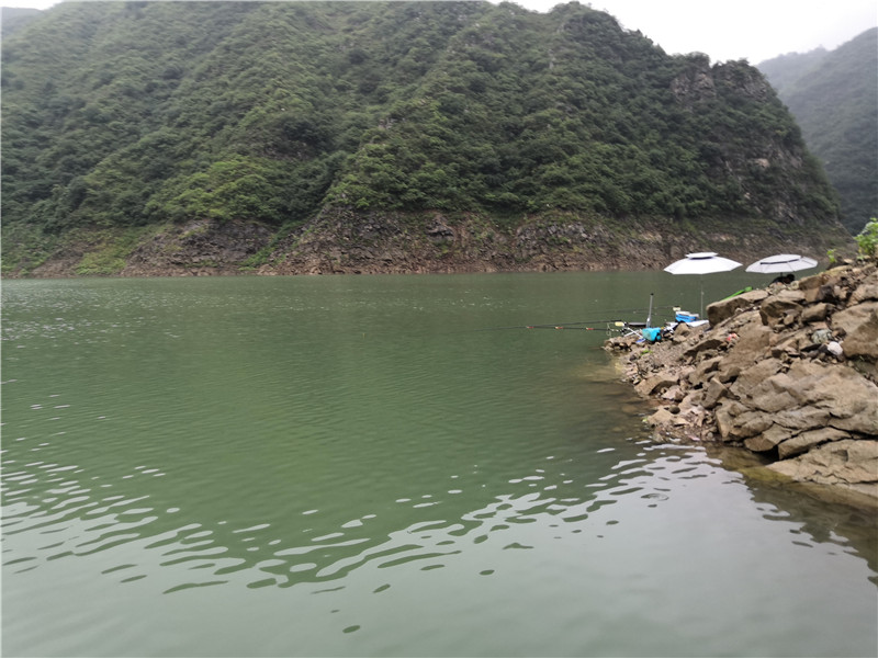 首钓官道狂拉草快乐才是垂钓的根本