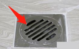 预防登革热时刻在行动,科普清理小积水防控登革热