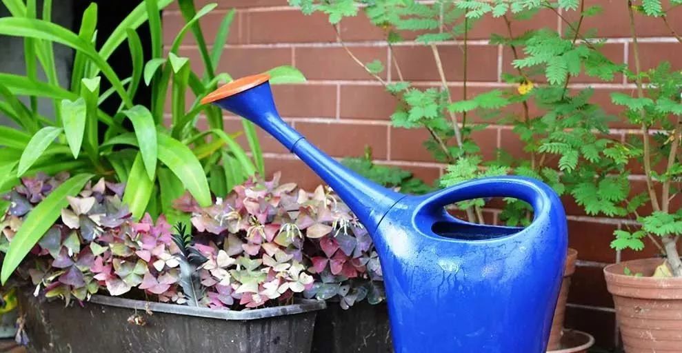 白糖到底多厉害,原来白糖还有这些作用