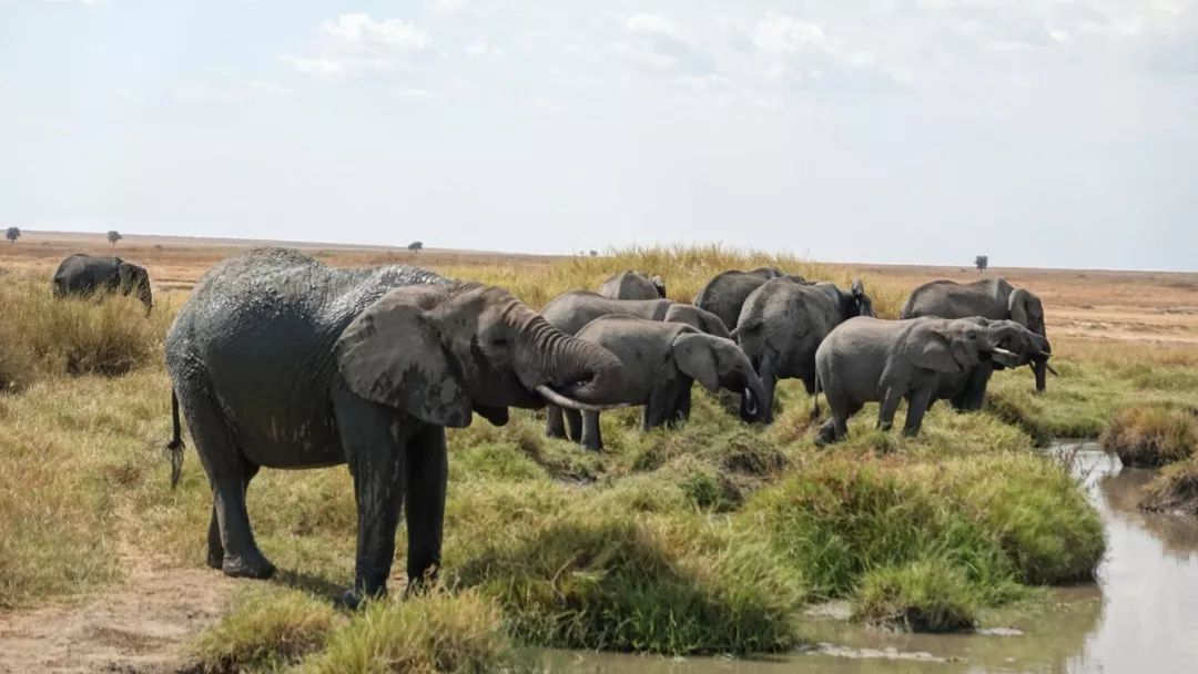鍧︽灏间簹涓庡ぇ鑷劧,鍧︽灏间簹鑷劧椋庡厜鐪熺編