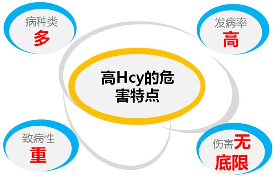 同型半胱氨酸健康科普涨知识,同型半胱氨酸怎样判断超标