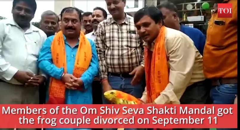 印度人为了求雨给青蛙办婚礼 (印度青蛙办婚礼求雨)