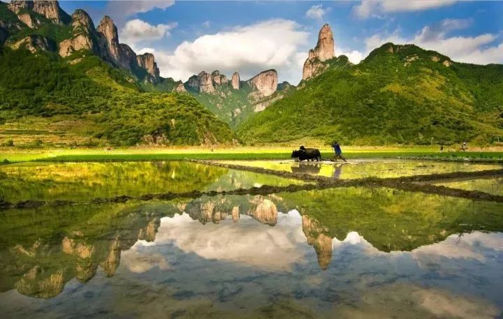 这两人太大胆！竟在黄石广电吵架