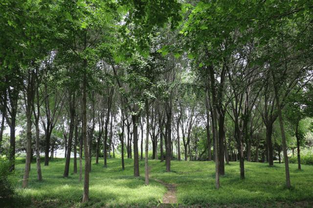 郑州未来十天的发展,郑州未来会往哪发展