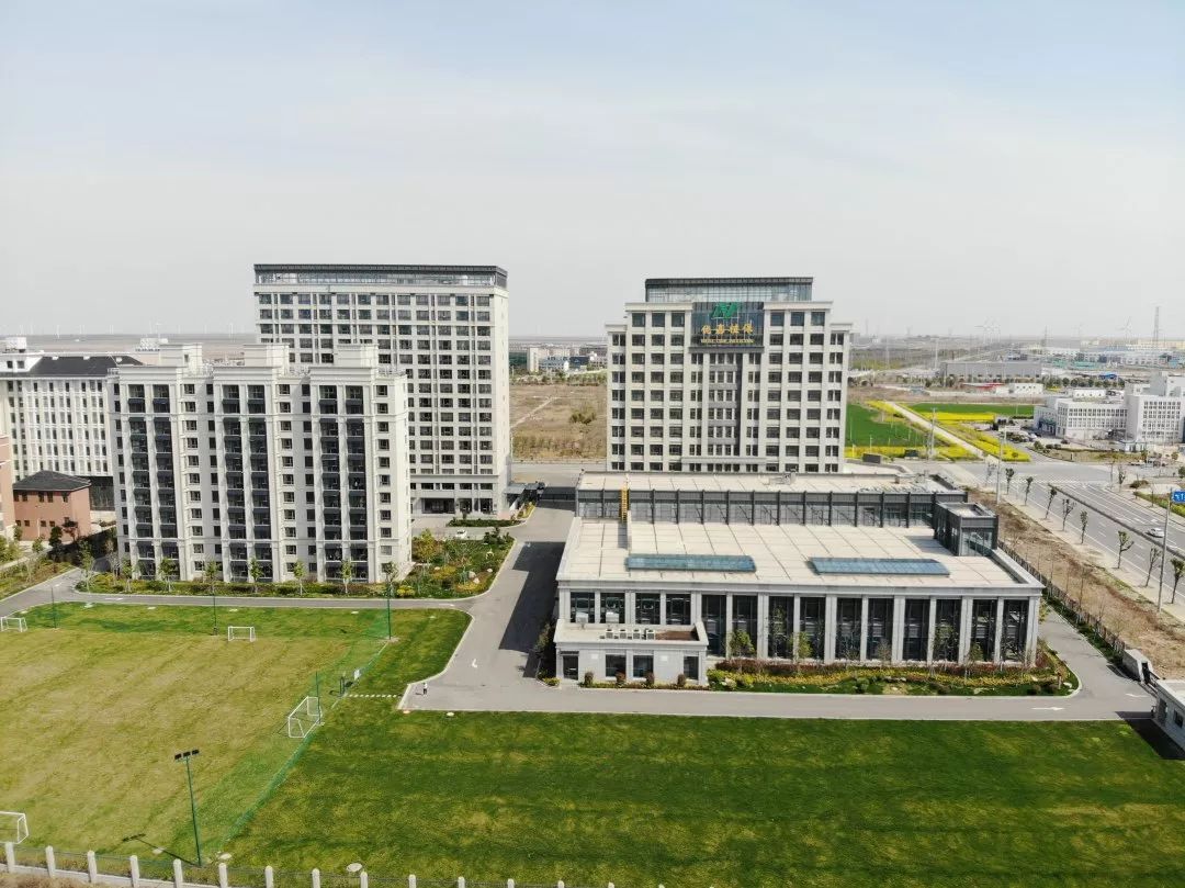 老马的一天600字记叙文骆驼祥子 (老马开心的一天)