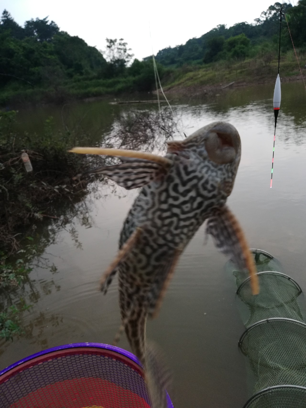 兄弟齐心不轻言放弃排除困难最终得圆满