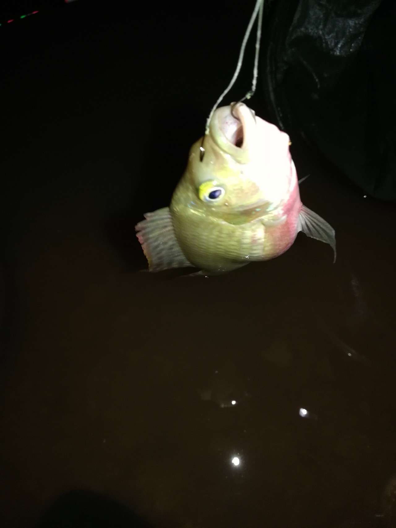 兄弟齐心不轻言放弃排除困难最终得圆满