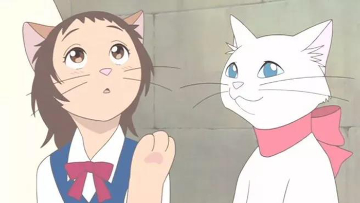 蜡笔小新番外篇小新变成柯南,蜡笔小新和柯南一起拍电影