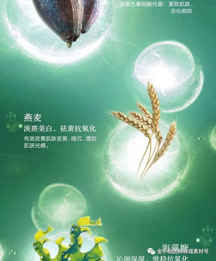 《金手指》团购,金手指团购礼盒