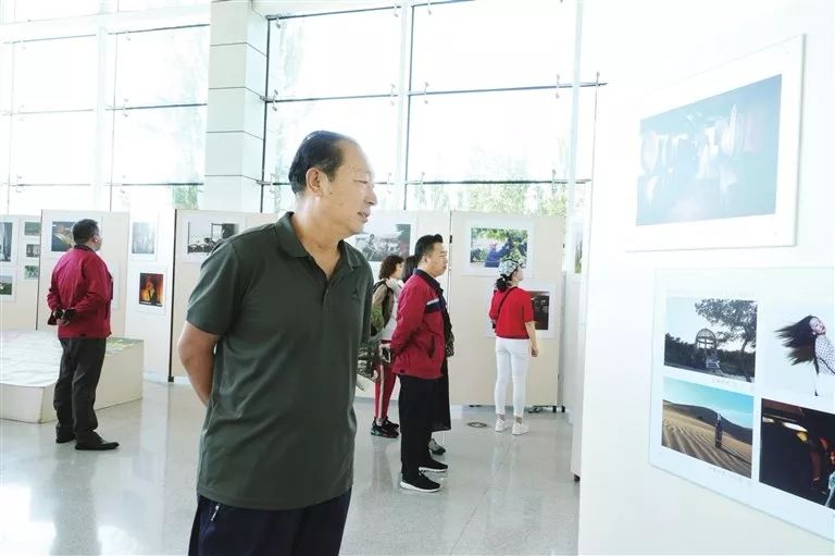 最新乌海公交车线路,乌海公交线路调整最新