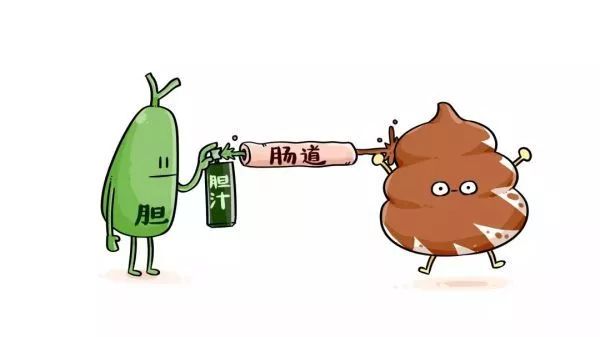 胆结石会发生面部发黄腹部疼痛吗,胆结石阻塞皮肤黄