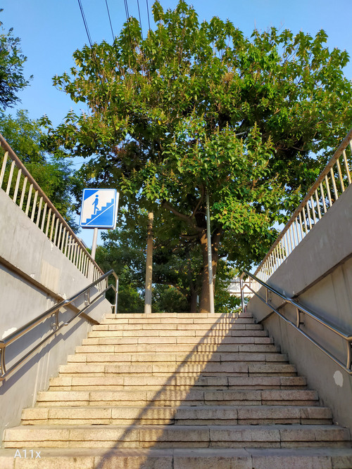 oppoa11x体验游戏咋样,oppoa11x现在还建议购买吗