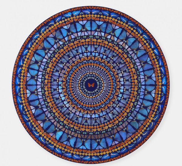 一周艺术人物｜戈尔戈尼“告别”大地，赫斯特“回归”蝴蝶