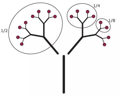 为了学习这个数学概念，美国老师把乐高、比萨带进课堂