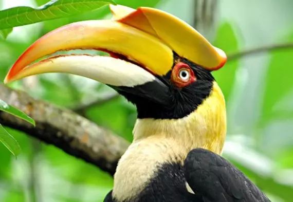 畅玩云南,畅玩永鸿动物园