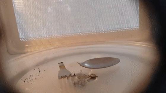 微波炉爆炸后遗症,微波炉爆炸后果