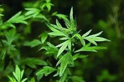 无痛拯救12亿低头族！5分钟搞好酸、痛、僵、麻，解颈椎“夺命包”