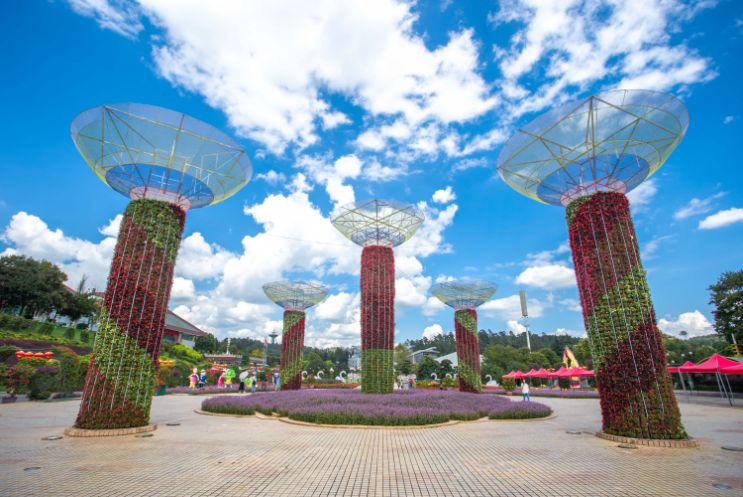 云南73个景区拟减免门票,云南2022年免门票景区