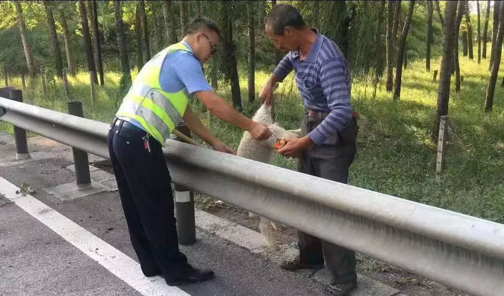 880曝光▏你在这些路段有违法行为吗？曝光