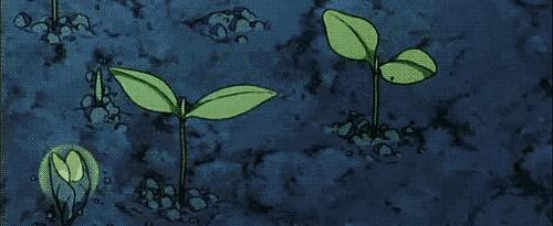 国货之光农科院生发水,国货之光农科院护肤品