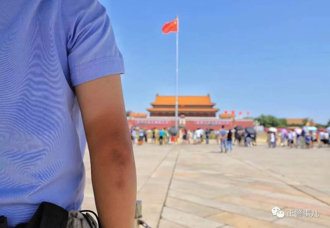 守护者72集介绍,守护者7完整版