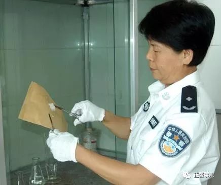 守护者2017在线观看,守护者2017公益