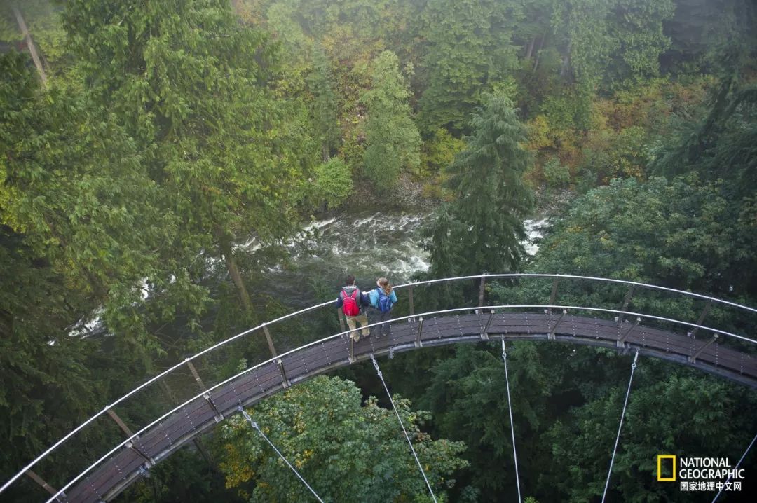 去加拿大必去景点有哪些地方,在加拿大10月中旬旅游地点推荐