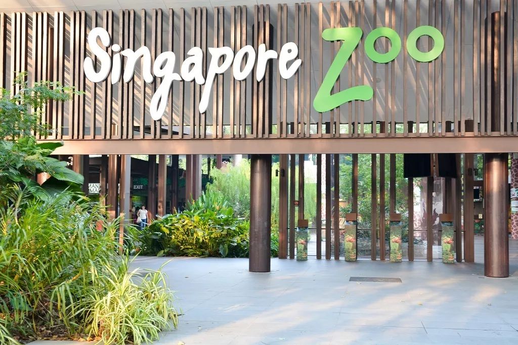 新加坡圣淘沙鱼尾狮为什么拆除,新加坡鱼尾狮为什么修二个月