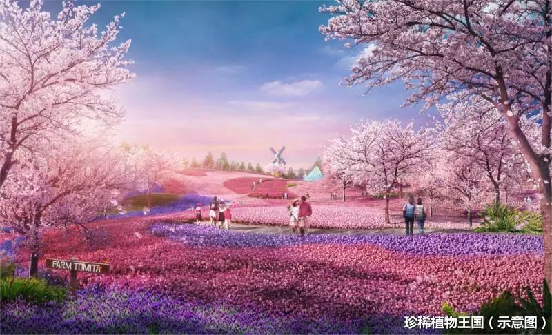 长株潭城际铁路中间新增站点规划,长株潭城际轨道西环线项目