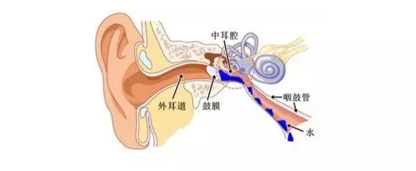「热点」孩子感冒后耳朵疼？警惕中耳炎！药师教你正确用药