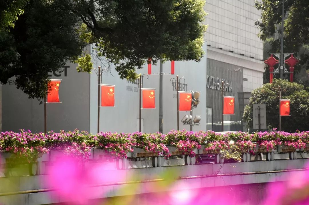 五星红旗你是我的骄傲童声版,五星红旗你是我的骄傲歌词原唱