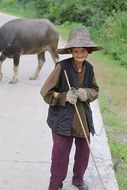 我的祖国美丽的家园,我爱你美丽的祖国