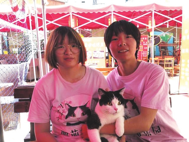 猫咪暑假上门喂养可以吗,上门喂养猫咪在哪里接单
