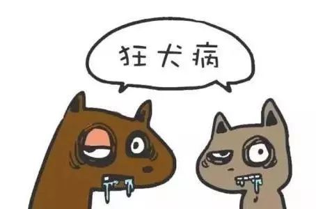 被狗咬了千万可别咬回去,被狗咬的很严重该怎么办