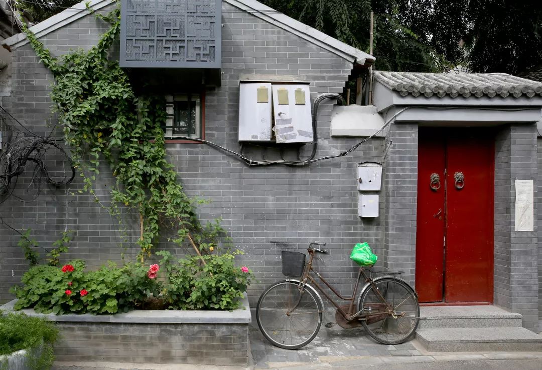 今年全市739条背街小巷花团锦簇（下）