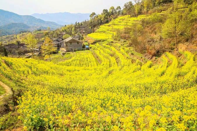 盛世如愿缅怀先烈|来浙里办文旅专区寻一条红色旅游线路，出发！